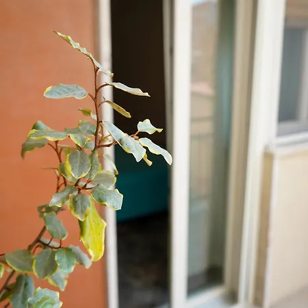 La Dimora Di Rosa